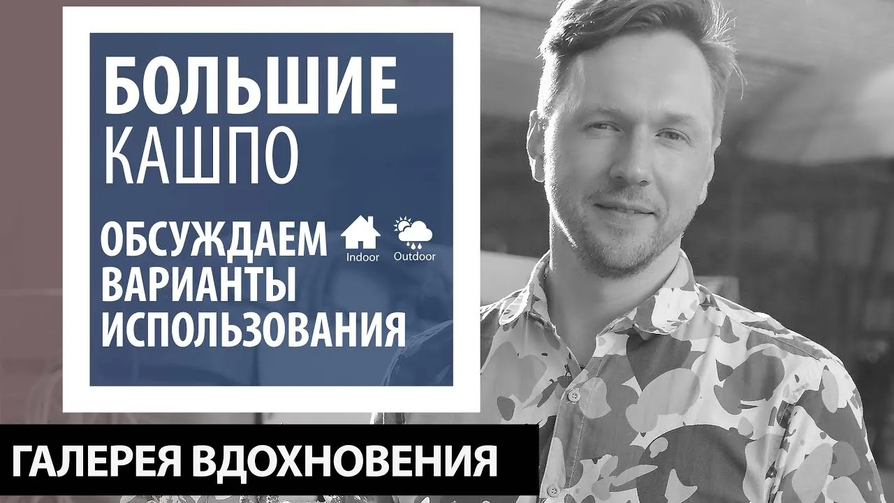 Большие кашпо. Обсуждаем варианты использования